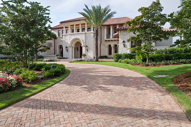 Best Local Driveway Pavers  in Chleston, AR